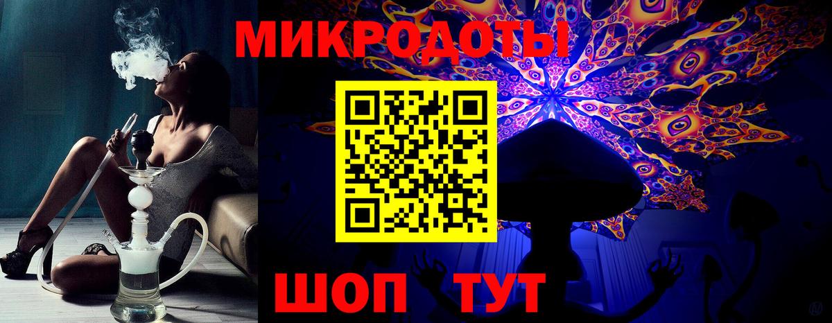 Псилоцибиновые грибы Psilocybine cubensis Касимов