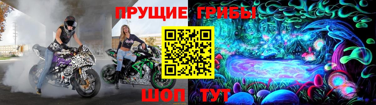 Касимов  Галлюциногенные грибы мухоморы  Вход с VPN 